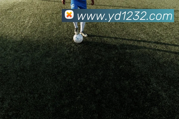 奖项2